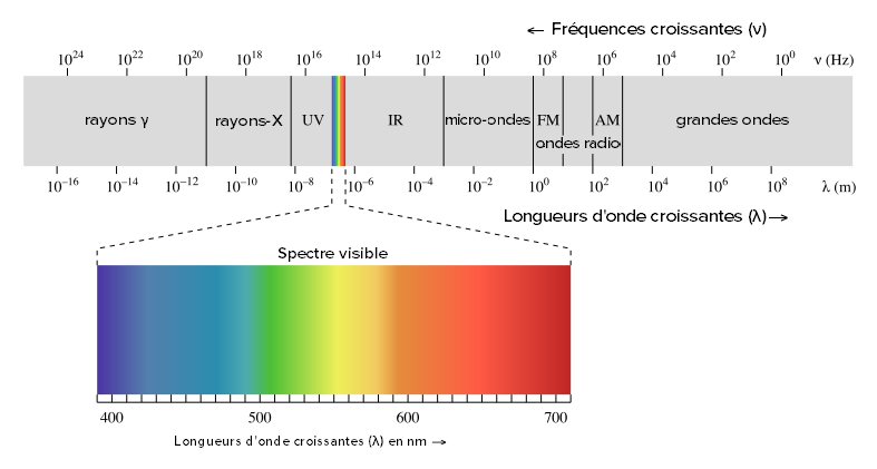 spectre de la lumière visible